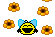 hurra sonnenblume