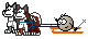 husky ski