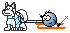 husky ski