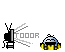 tooor bvb