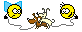 dog dog