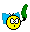 Gurke Gurke