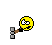 hammer hammer