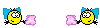 kissen kissen