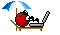 bruzzelpc