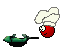 cook