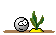 rupf rupf