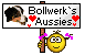 bollwerk`s aussies