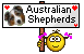 australien sheperds