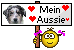 mein aussie