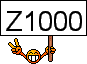 z1000