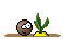 rupf