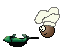 cook cook
