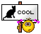 cool