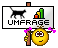 umfrage