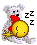 teddy teddy
